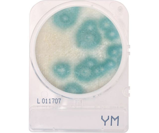 CompactDry Yeast/Mold (YM)  60 packages of 4 plates