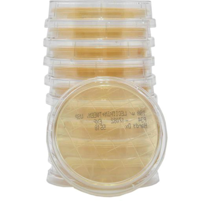 Hardy Diagnostics P34 Contact Plate – TSA w/ Lecithin & Tween, USP 797, Non-Irradiated, 10 plates