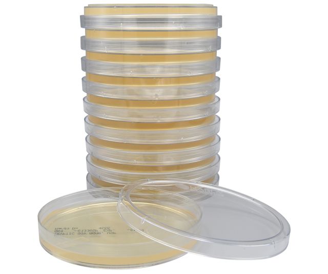 Hardy Diagnostics G60 – Tryptic Soy Agar (TSA)| Environmental Monitoring for Compounding Pharmacies, USP, 15x100mm Plate.  10 per package