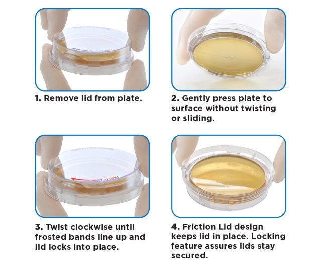 LokTight Sabouraud Dextrose (SabDex) Agar, 15x65mm Contact Plate, 10 per package