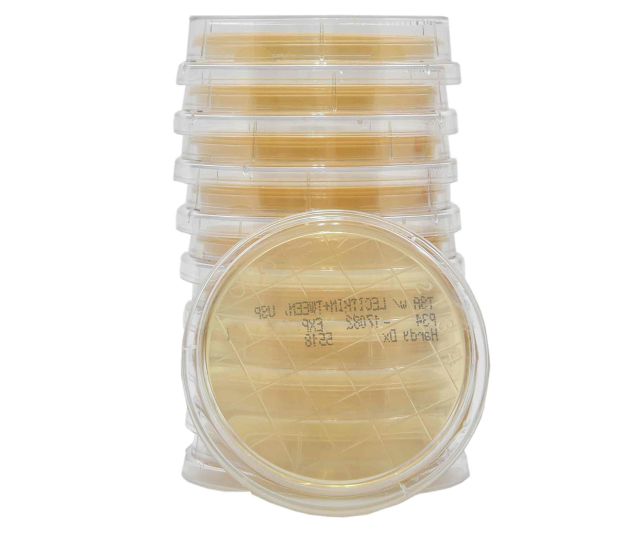 LokTight Tryptic Soy Agar (TSA) with Lecithin and Tween 80, USP, 15x65mm Contact Plate, 10 per package
