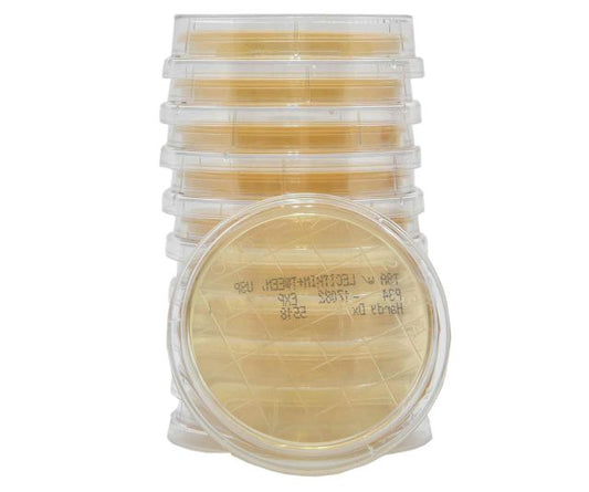 Hardy Diagnostics P34 – TSA with Lecithin & Tween Contact Plates | Surface & Gloved Fingertip Testing for Compounding Pharmacies, USP, 15x65mm Contact Plate, 10 per package