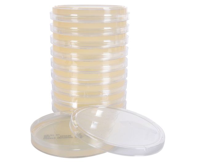 Potato Dextrose Agar (PDA), USP, for fungal cultures, Deep Fill, 15x100mm Plate. 10 Plates