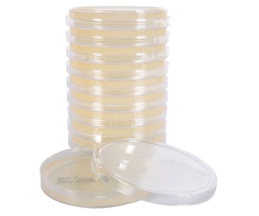 Potato Dextrose Agar (PDA), USP, for fungal cultures, Deep Fill, 15x100mm Plate.  10 Plates