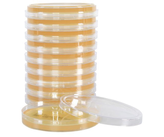 Sabouraud Dextrose Agar (SabDex), USP, 15x100mm Plate, 10 per package