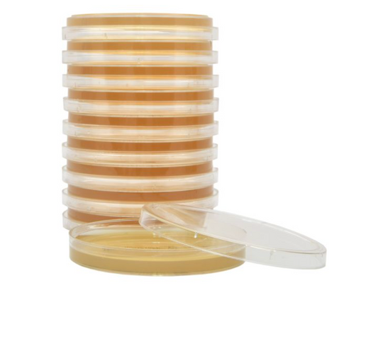 Tryptic Soy Agar (TSA), Irradiated, SterEM™ , USP, Triple Bagged, 15x100mm plate, 26ml fill,10pk