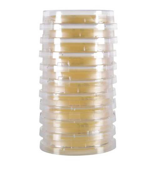 Tryptic Soy Agar TSA, IRRADIATED, with Lecithin and Tween® 80, USP, Lok-Tight™, triple bagged, contact plate with friction lid and optional locking feature, PK10 plates