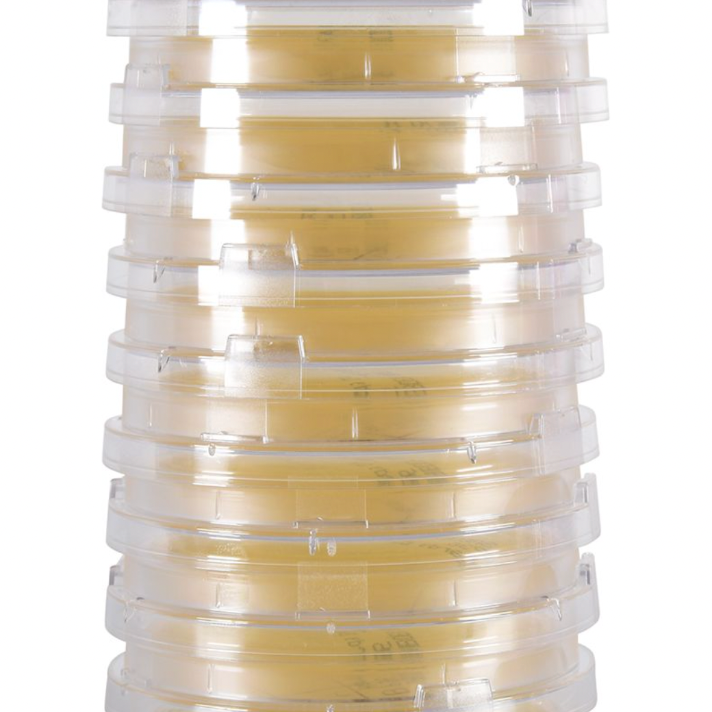 Hardy Diagnostics P49 Contact Plate – Sabouraud Dextrose Agar (SabDex) w/ Lecithin & Tween 80, (Fungal Monitoring After Disinfection), Non-Irradiated , USP 797, 10 Plates