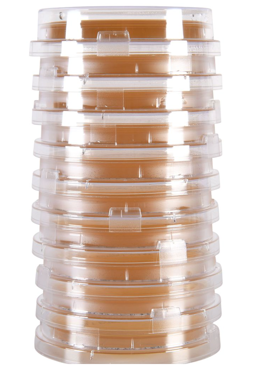 Hardy Diagnostics P93 Contact Plate – Malt Extract Agar (MEA) w/ Lecithin & Tween, Non-Irradiated (Fungal Monitoring), USP 797, 10 Plates