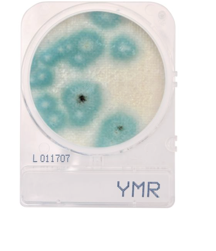 CompactDry™ Yeast/Mold Rapid (YMR) for colony counts, 60pkgs of 4 plates
