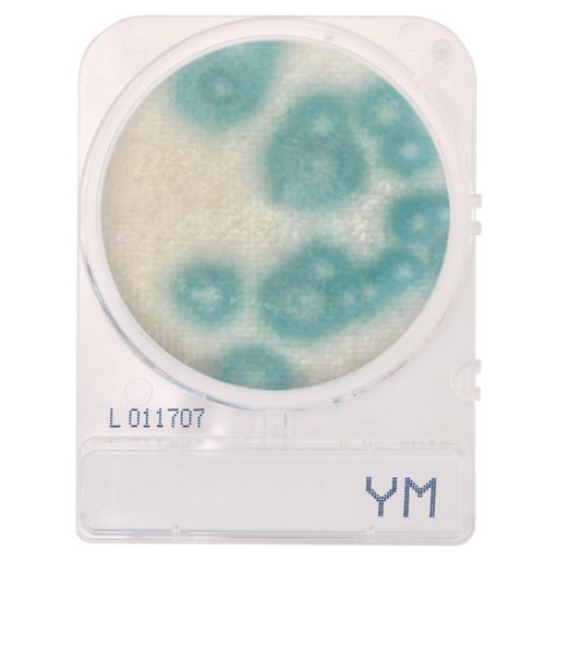 CompactDry™ Yeast/Mold (YM), 60pkgs of 4 plates