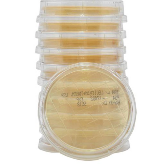 Hardy Diagnostics P34 Contact Plate – TSA w/ Lecithin & Tween, USP 797, Non-Irradiated, 10 plates